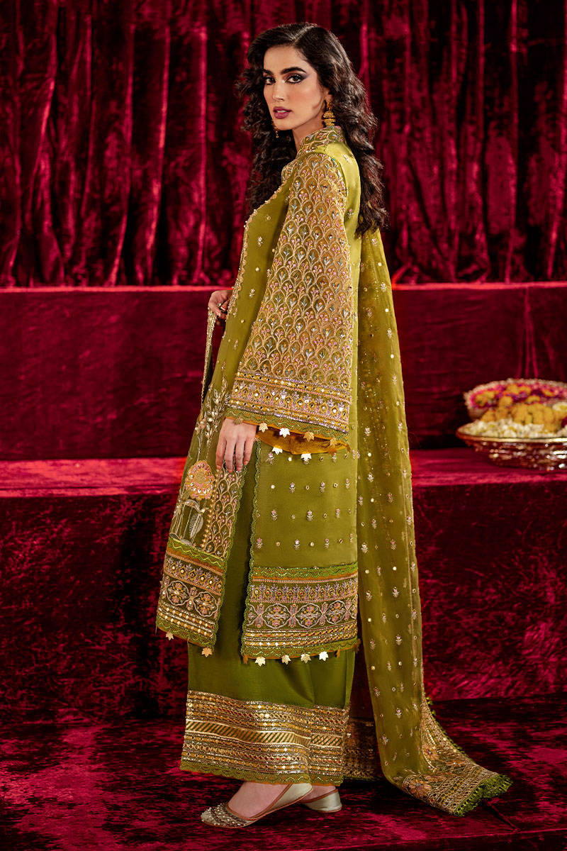 Mohsin Naveed Ranjha Mehendi Formal Collection Organza Replica