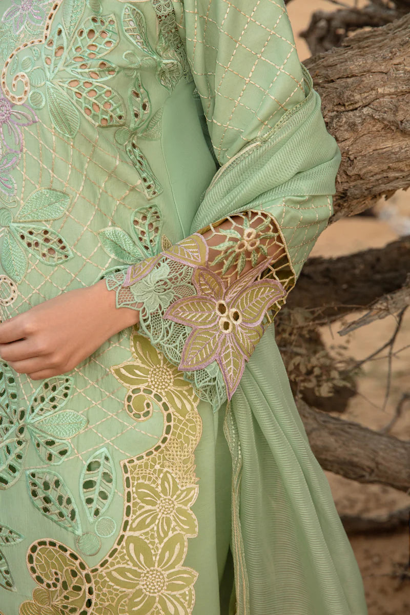 Rang Rasiya Elnaz Green Luxury Lawn Collection Replica