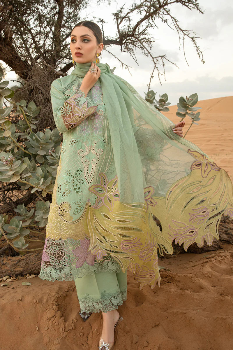 Rang Rasiya Elnaz Green Luxury Lawn Collection Replica