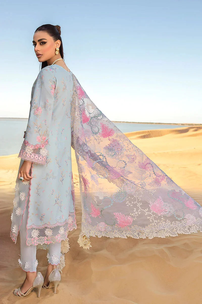 Rang Rasiya Sky Blue Printed Lawn Collection Replica