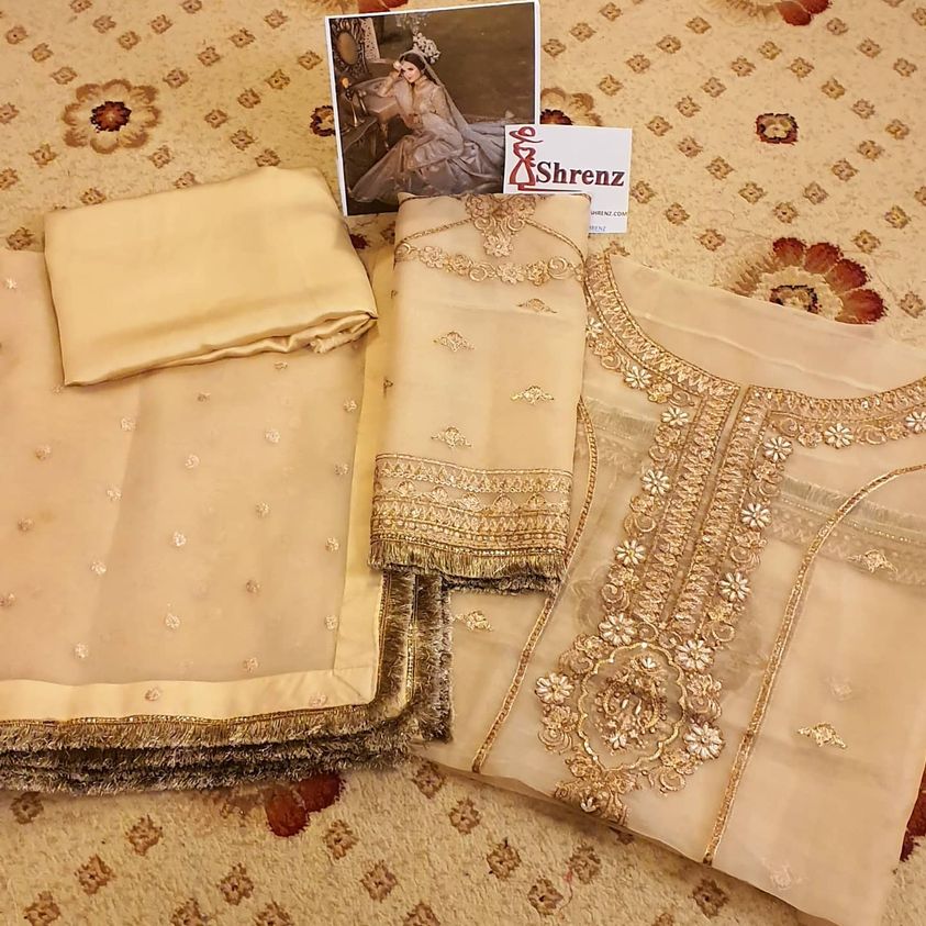 Mahnoor Skin Formal Organza Gharara Replica